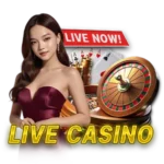 LIVE CASINO_1727693583